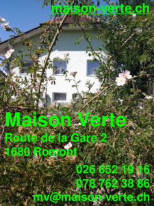 contactMV