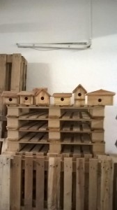 revalopal_niches